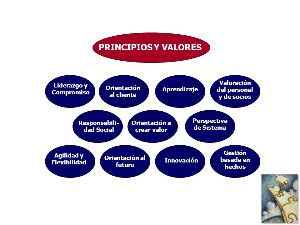 PRINCIPIOS Y VALORES Valoración del personal y de socios