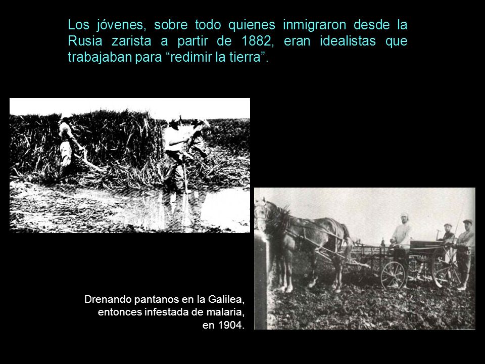 Los jóvenes, sobre todo quienes inmigraron desde la Rusia zarista a partir de 1882, eran idealistas que trabajaban para redimir la tierra .