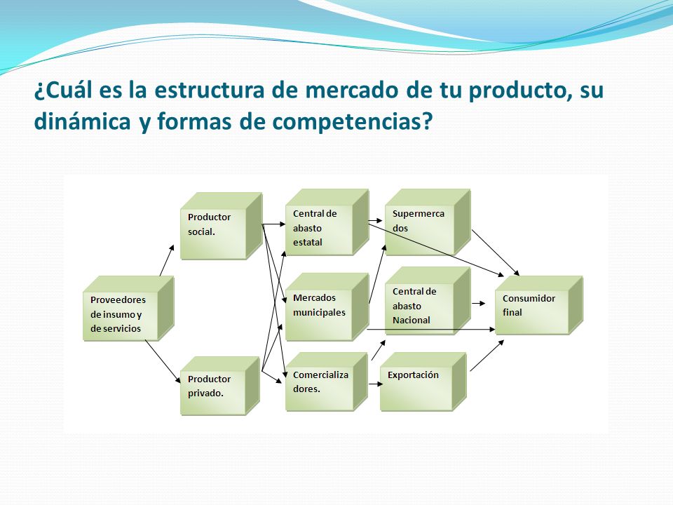 ¿Cuál es la estructura de mercado de tu producto, su dinámica y formas de competencias
