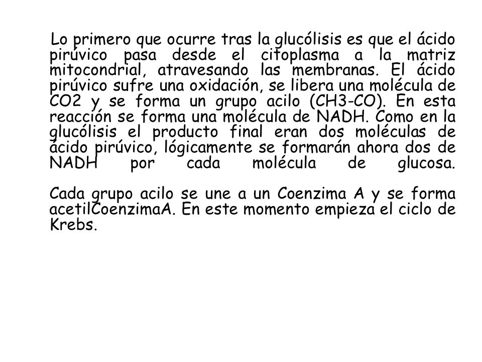 Lo primero que ocurre tras la glucólisis es que el ácido pirúvico pasa desde el citoplasma a la matriz mitocondrial, atravesando las membranas.