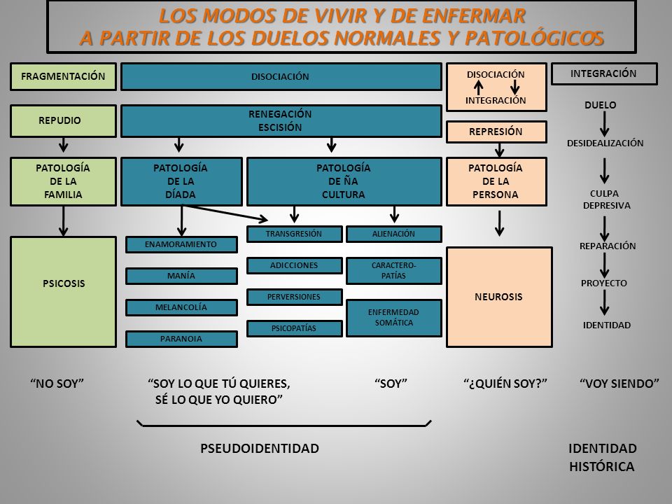 LOS MODOS DE VIVIR Y DE ENFERMAR A PARTIR DE LOS DUELOS NORMALES Y PATOLÓGICOS
