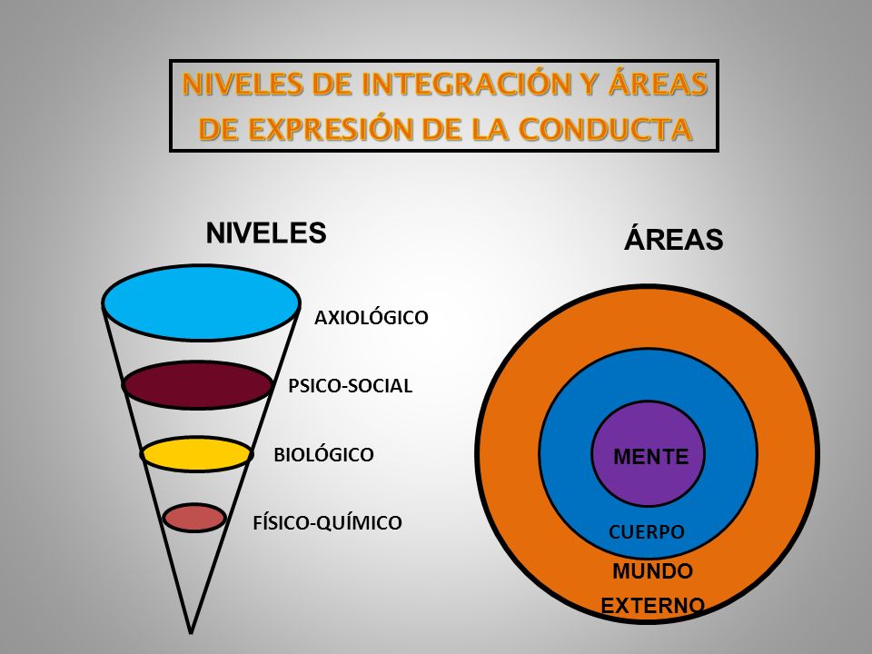 NIVELES DE INTEGRACIÓN Y ÁREAS DE EXPRESIÓN DE LA CONDUCTA