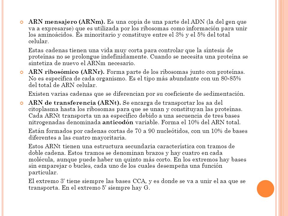 ARN mensajero (ARNm). Es una copia de una parte del ADN (la del gen que va a expresarse) que es utilizada por los ribosomas como información para unir los aminoácidos. Es minoritario y constituye entre el 3% y el 5% del total celular.
