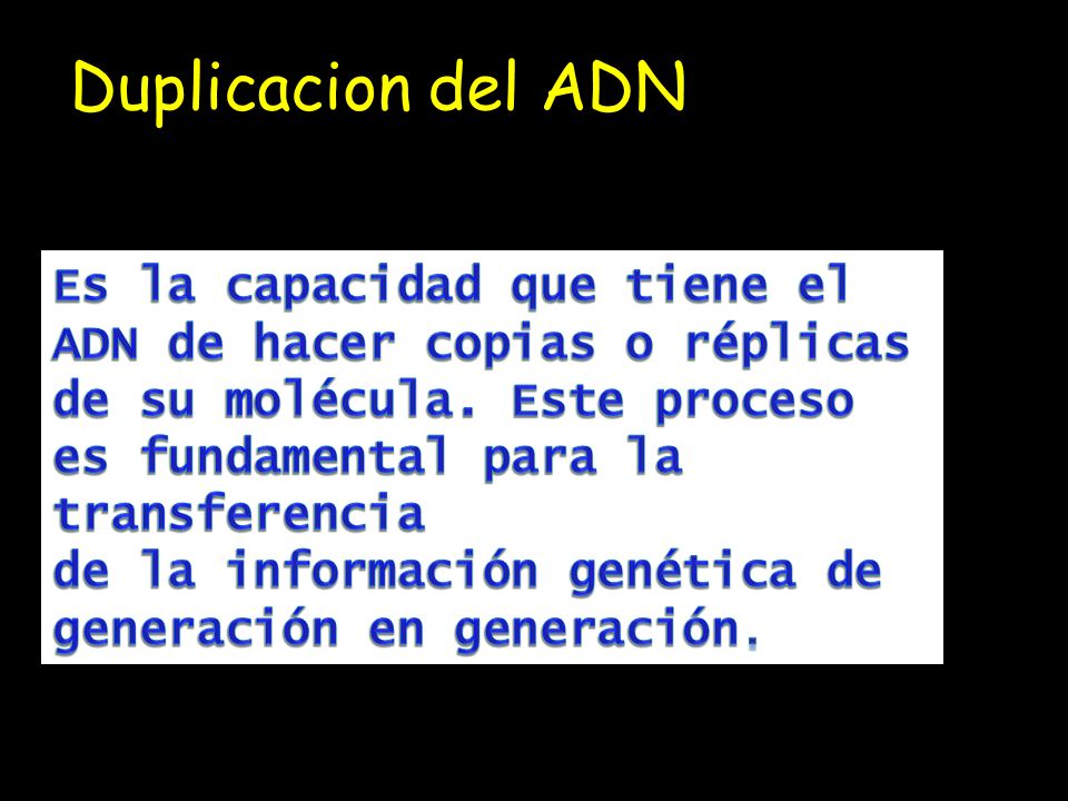 Duplicacion del ADN Es la capacidad que tiene el ADN de hacer copias o réplicas de su molécula. Este proceso es fundamental para la transferencia.