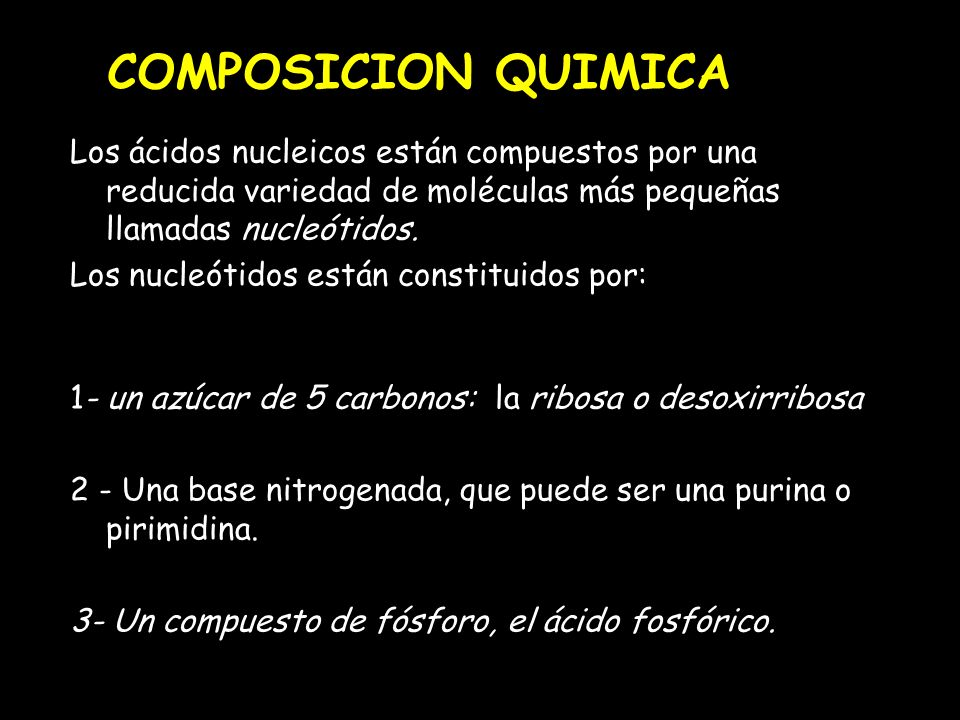 COMPOSICION QUIMICA Los ácidos nucleicos están compuestos por una reducida variedad de moléculas más pequeñas llamadas nucleótidos.