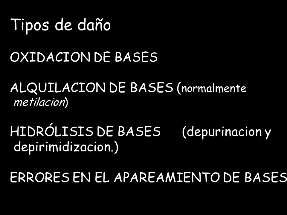 Tipos de daño OXIDACION DE BASES ALQUILACION DE BASES (normalmente