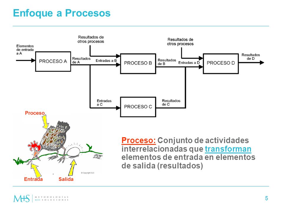 Enfoque a Procesos Proceso: Conjunto de actividades interrelacionadas que transforman elementos de entrada en elementos de salida (resultados)