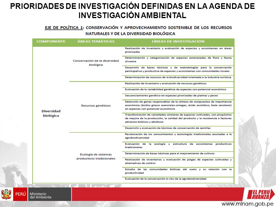 PRIORIDADES DE INVESTIGACIÓN DEFINIDAS EN LA AGENDA DE INVESTIGACIÓN AMBIENTAL