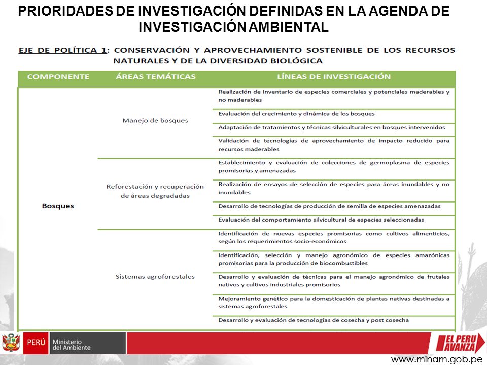 PRIORIDADES DE INVESTIGACIÓN DEFINIDAS EN LA AGENDA DE INVESTIGACIÓN AMBIENTAL