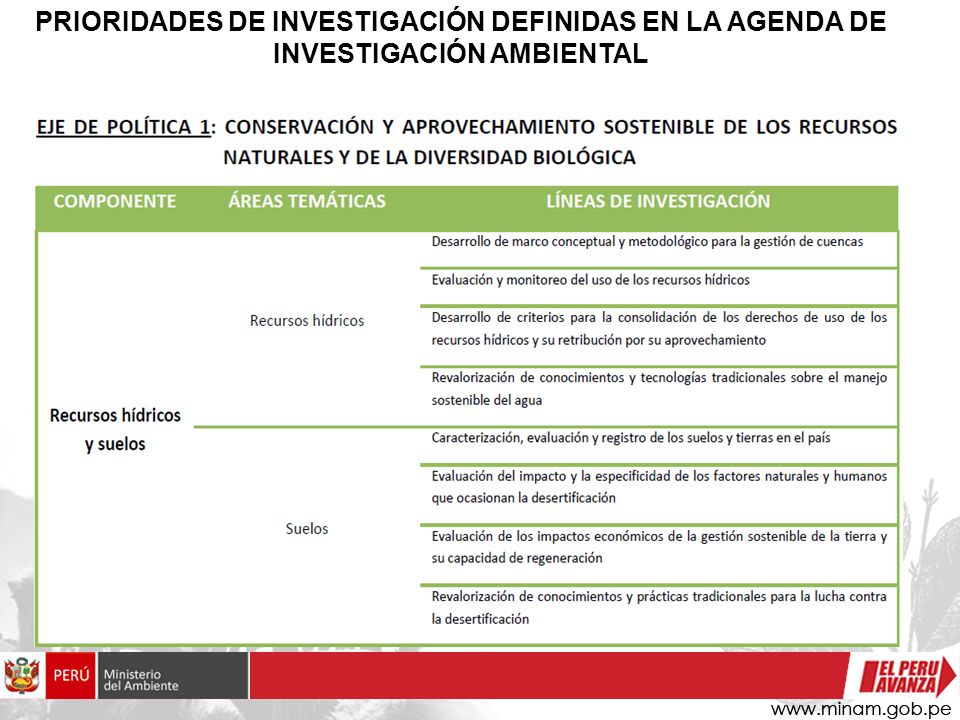PRIORIDADES DE INVESTIGACIÓN DEFINIDAS EN LA AGENDA DE INVESTIGACIÓN AMBIENTAL