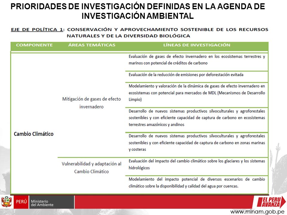 PRIORIDADES DE INVESTIGACIÓN DEFINIDAS EN LA AGENDA DE INVESTIGACIÓN AMBIENTAL