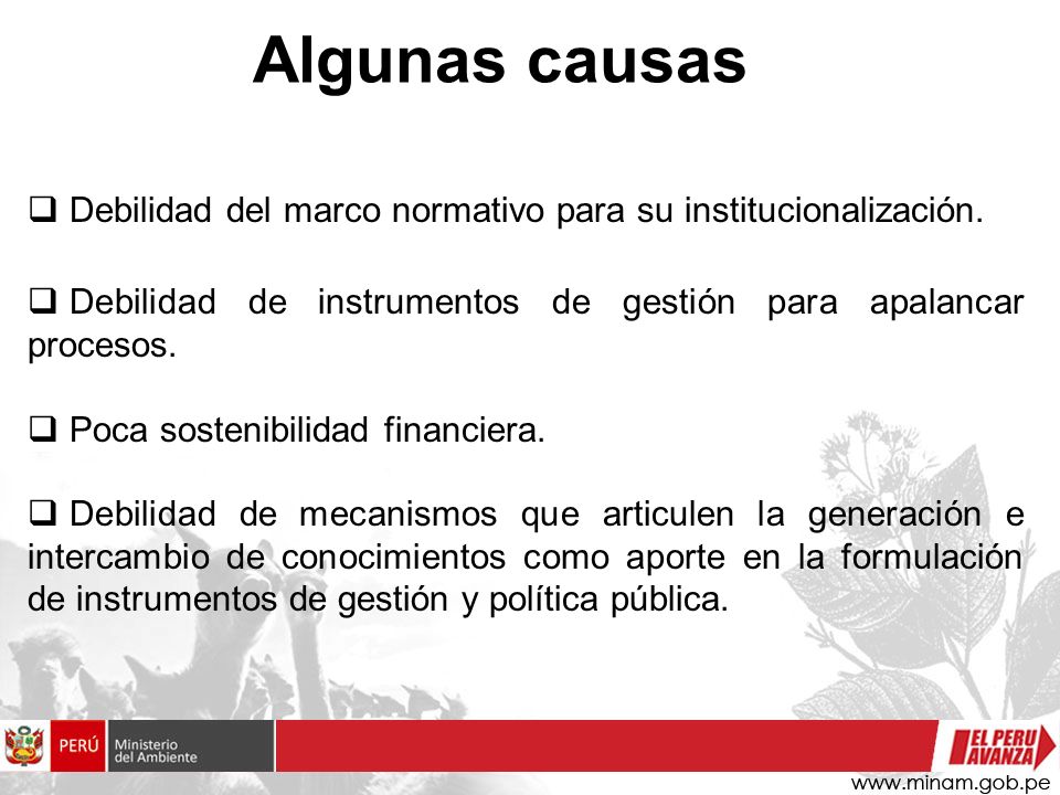 Algunas causas Debilidad del marco normativo para su institucionalización. Debilidad de instrumentos de gestión para apalancar procesos.