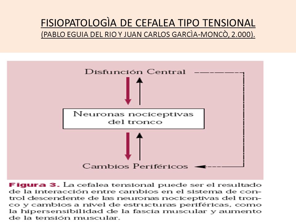 FISIOPATOLOGÌA DE CEFALEA TIPO TENSIONAL (PABLO EGUIA DEL RIO Y JUAN CARLOS GARCÌA-MONCÒ, 2.000).