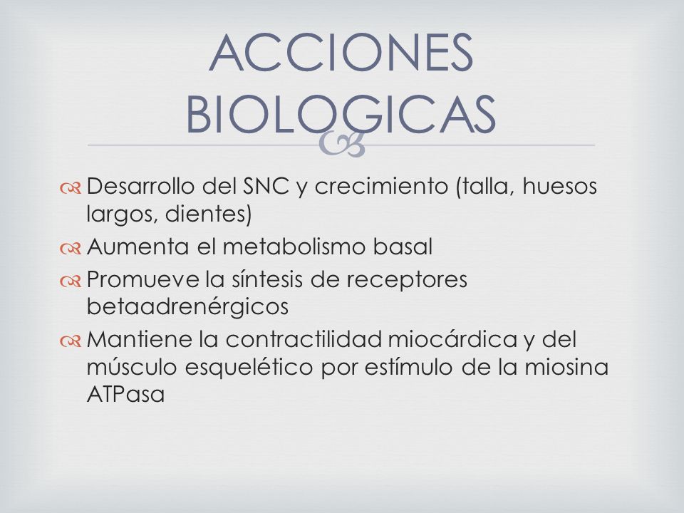 ACCIONES BIOLOGICAS Desarrollo del SNC y crecimiento (talla, huesos largos, dientes) Aumenta el metabolismo basal.