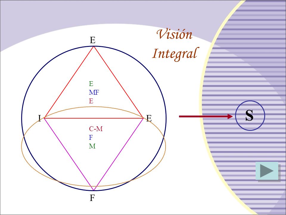 Visión Integral E E MF S I E C-M F M F