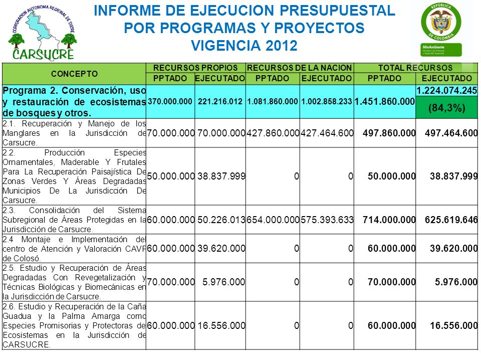 INFORME DE EJECUCION PRESUPUESTAL POR PROGRAMAS Y PROYECTOS VIGENCIA 2012