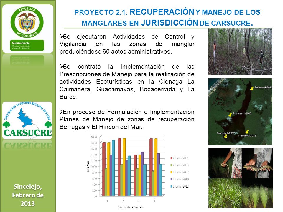 Sincelejo, Febrero de PROYECTO 2.1. RECUPERACIÓN Y MANEJO DE LOS MANGLARES EN JURISDICCIÓN DE CARSUCRE.