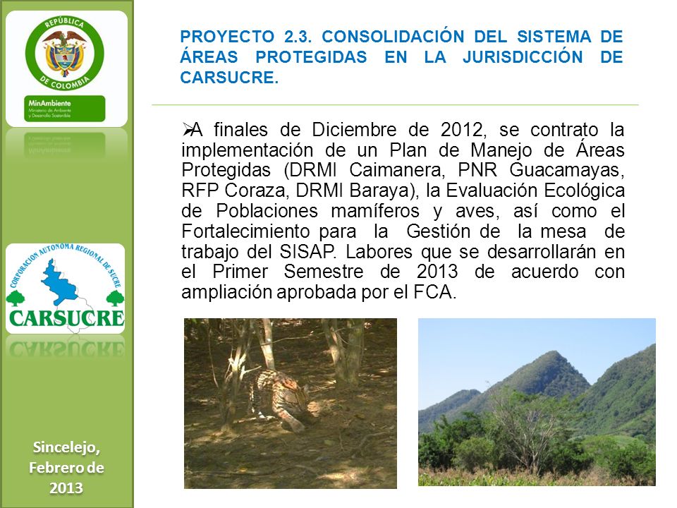 Sincelejo, Febrero de PROYECTO 2.3. CONSOLIDACIÓN DEL SISTEMA DE ÁREAS PROTEGIDAS EN LA JURISDICCIÓN DE CARSUCRE.