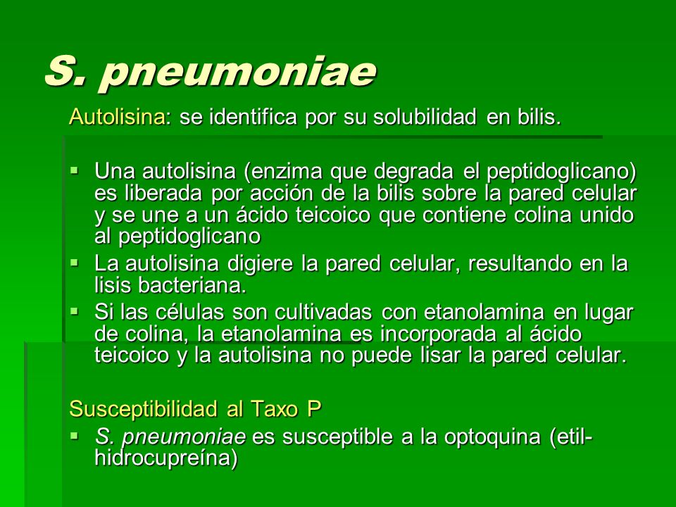 S. pneumoniae Autolisina: se identifica por su solubilidad en bilis.