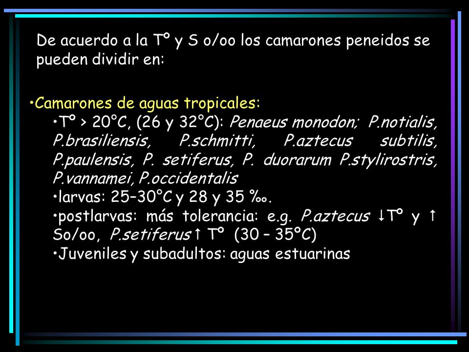 De acuerdo a la Tº y S o/oo los camarones peneidos se pueden dividir en: