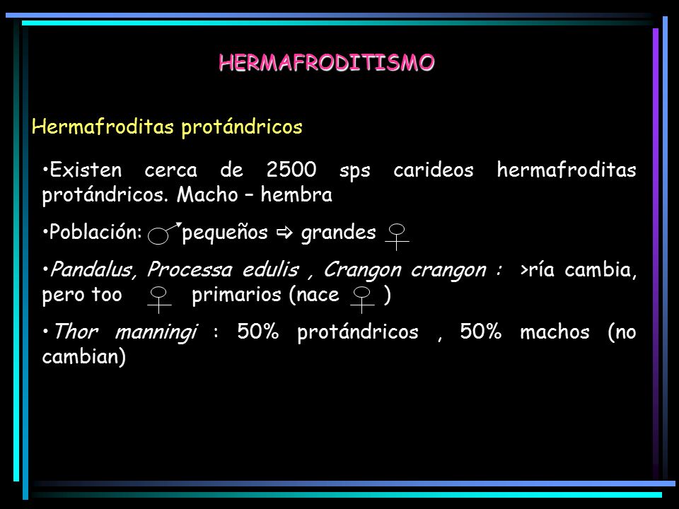 HERMAFRODITISMO Hermafroditas protándricos. Existen cerca de 2500 sps carideos hermafroditas protándricos. Macho – hembra.