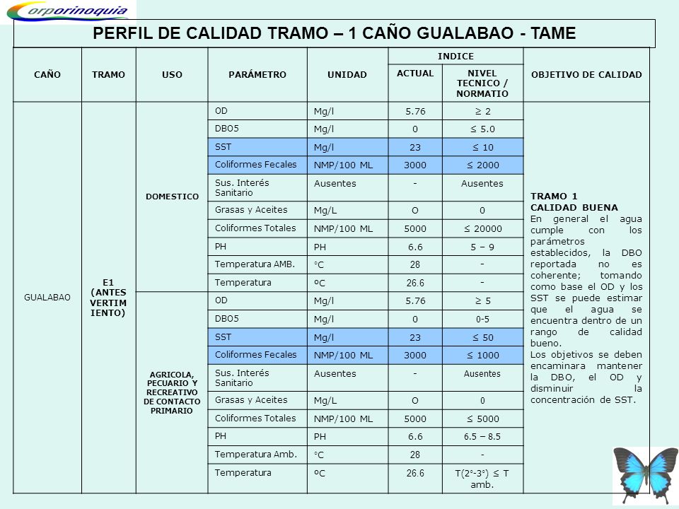 PERFIL DE CALIDAD TRAMO – 1 CAÑO GUALABAO - TAME