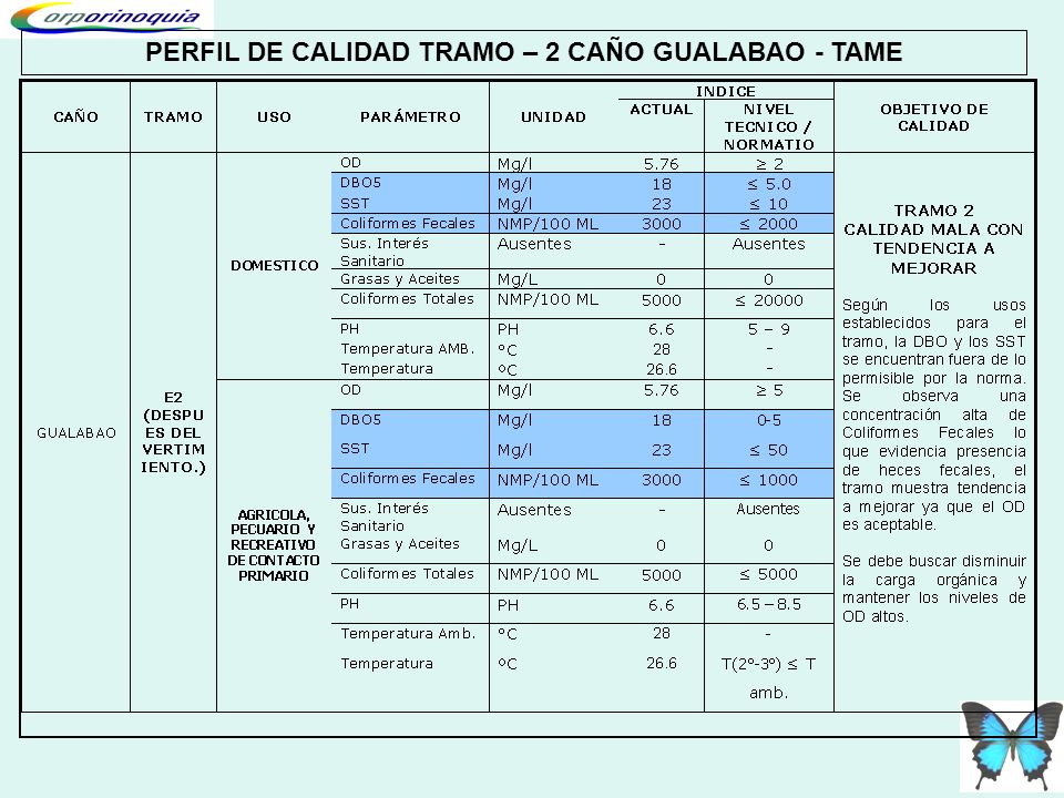 PERFIL DE CALIDAD TRAMO – 2 CAÑO GUALABAO - TAME