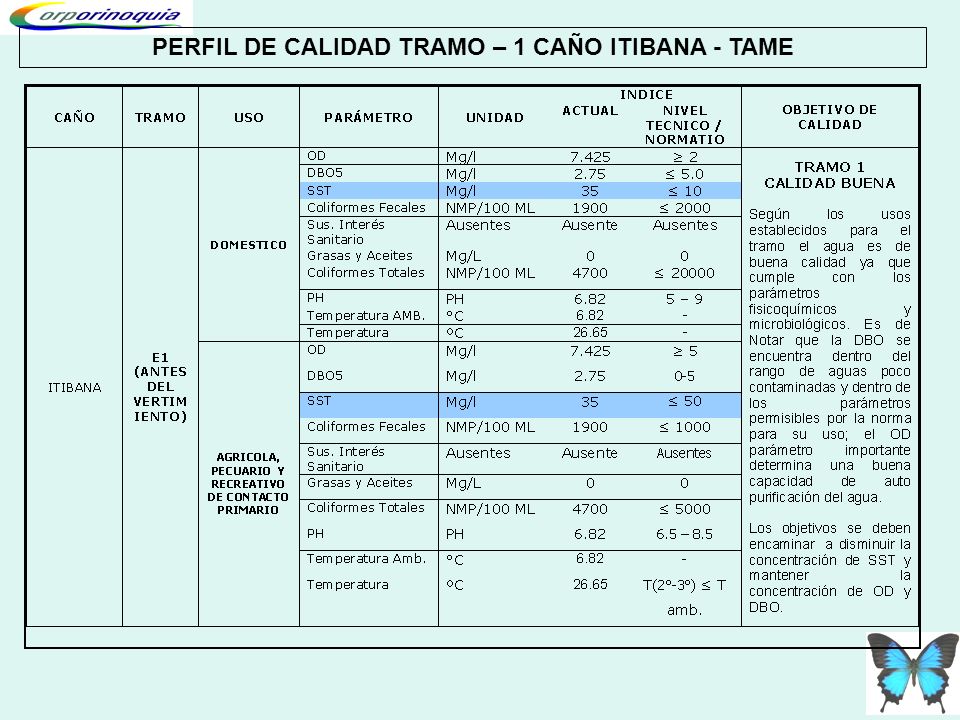 PERFIL DE CALIDAD TRAMO – 1 CAÑO ITIBANA - TAME