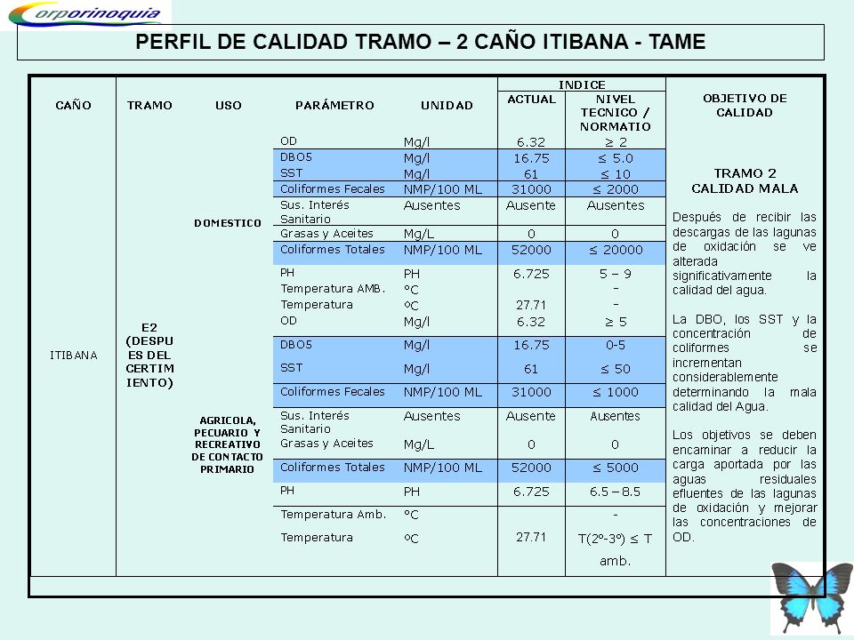 PERFIL DE CALIDAD TRAMO – 2 CAÑO ITIBANA - TAME