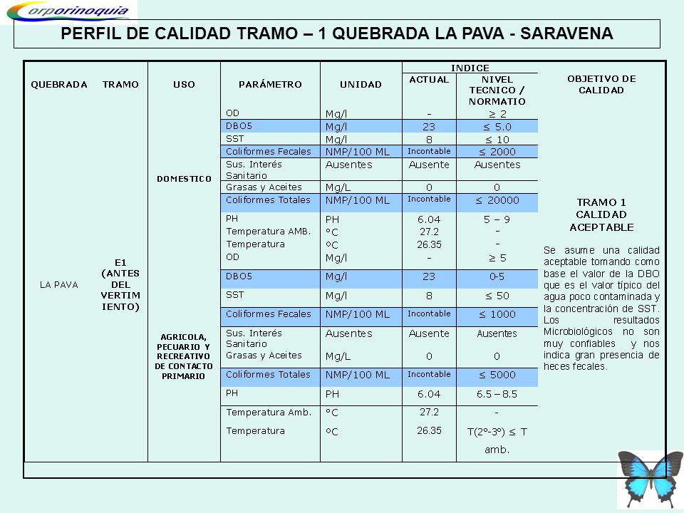 PERFIL DE CALIDAD TRAMO – 1 QUEBRADA LA PAVA - SARAVENA