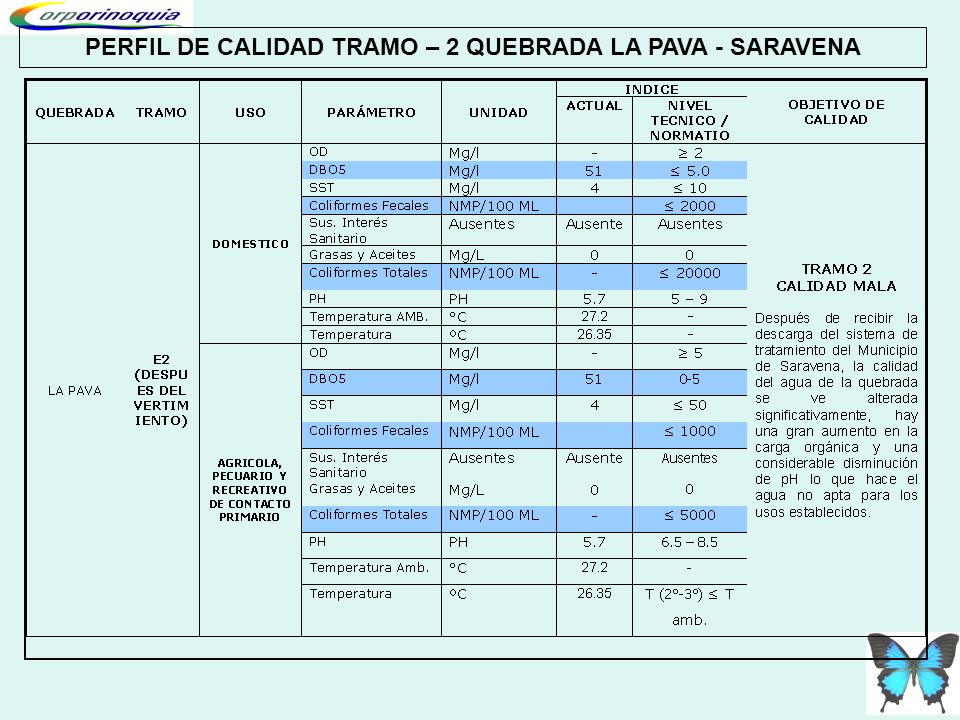 PERFIL DE CALIDAD TRAMO – 2 QUEBRADA LA PAVA - SARAVENA