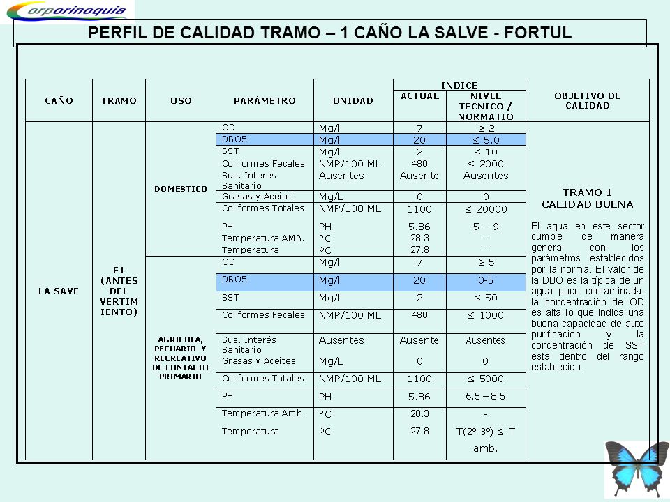 PERFIL DE CALIDAD TRAMO – 1 CAÑO LA SALVE - FORTUL
