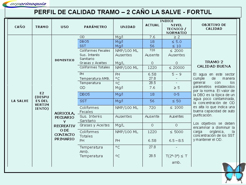 PERFIL DE CALIDAD TRAMO – 2 CAÑO LA SALVE - FORTUL
