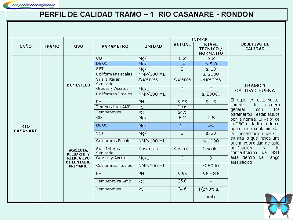 PERFIL DE CALIDAD TRAMO – 1 RIO CASANARE - RONDON