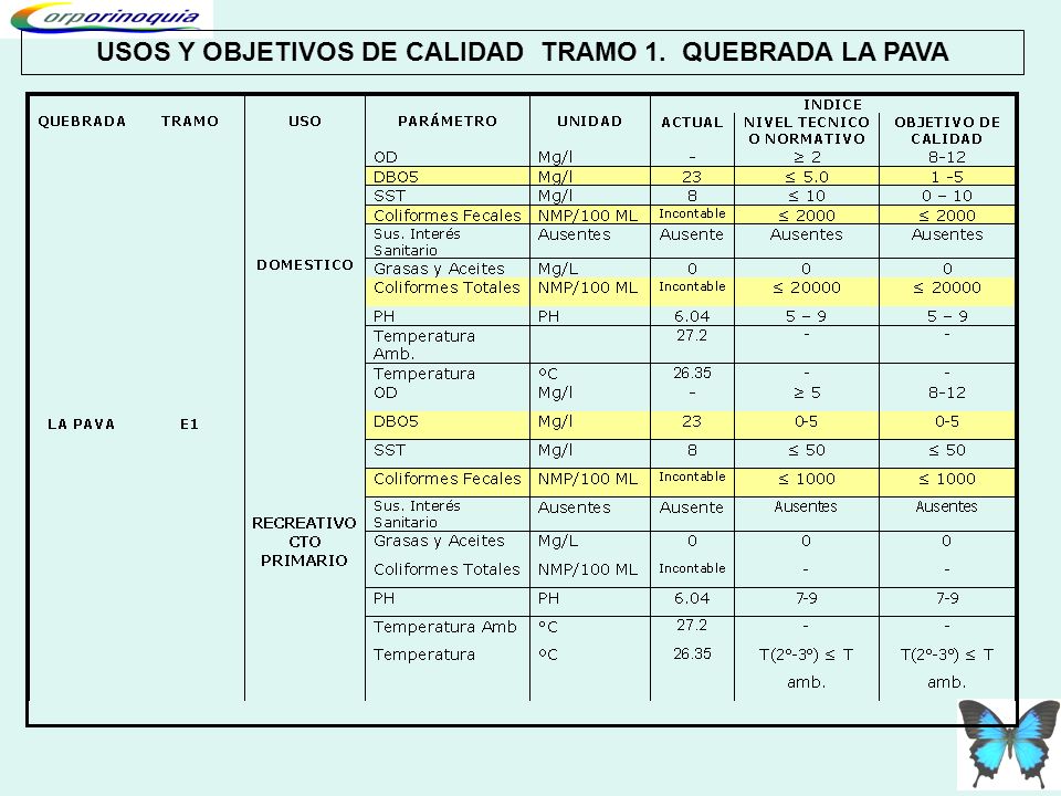 USOS Y OBJETIVOS DE CALIDAD TRAMO 1. QUEBRADA LA PAVA