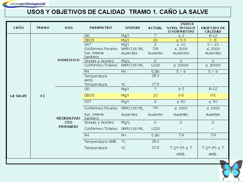 USOS Y OBJETIVOS DE CALIDAD TRAMO 1. CAÑO LA SALVE