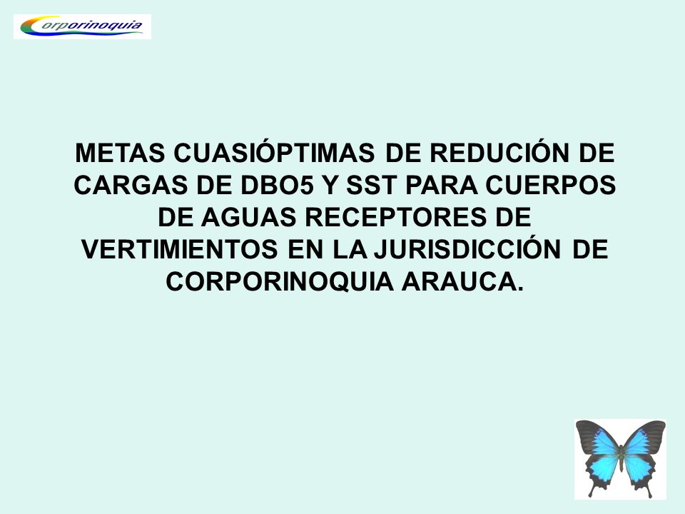 METAS CUASIÓPTIMAS DE REDUCIÓN DE CARGAS DE DBO5 Y SST PARA CUERPOS DE AGUAS RECEPTORES DE VERTIMIENTOS EN LA JURISDICCIÓN DE CORPORINOQUIA ARAUCA.