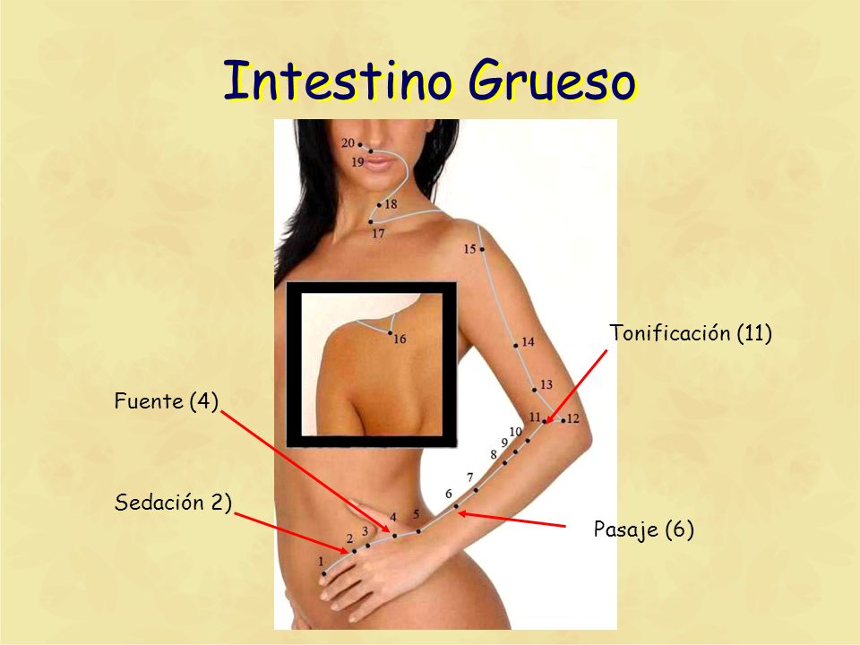 Intestino Grueso Tonificación (11) Fuente (4) Sedación 2) Pasaje (6)