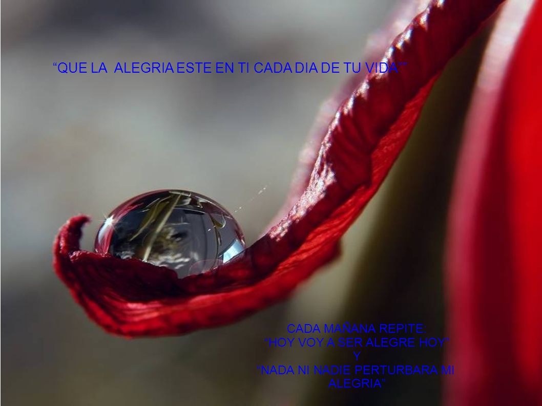 QUE LA ALEGRIA ESTE EN TI CADA DIA DE TU VIDA