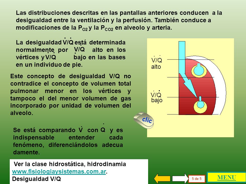 Las distribuciones descritas en las pantallas anteriores conducen a la desigualdad entre la ventilación y la perfusión. También conduce a modificaciones de la PO2 y la PCO2 en alveolo y arteria.
