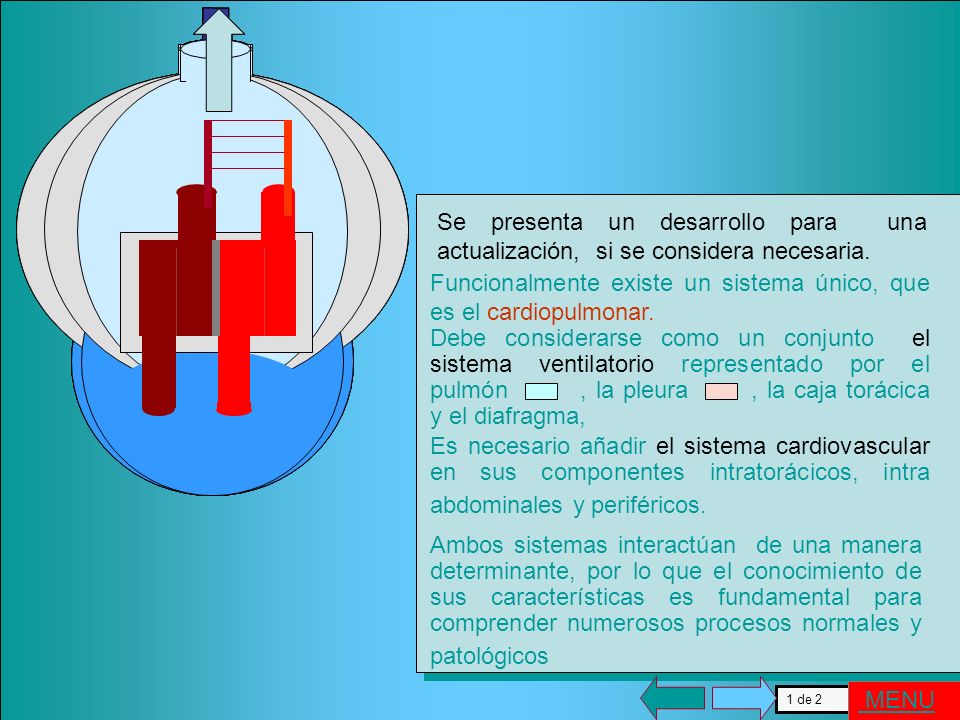 Se presenta un desarrollo para una actualización, si se considera necesaria.