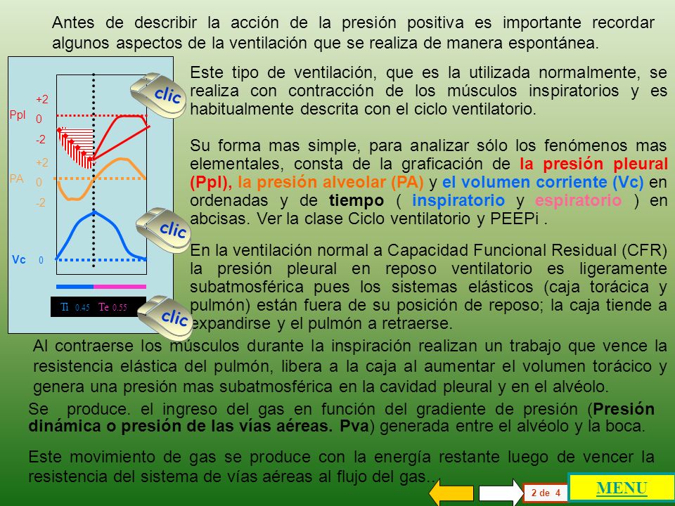Antes de describir la acción de la presión positiva es importante recordar algunos aspectos de la ventilación que se realiza de manera espontánea.