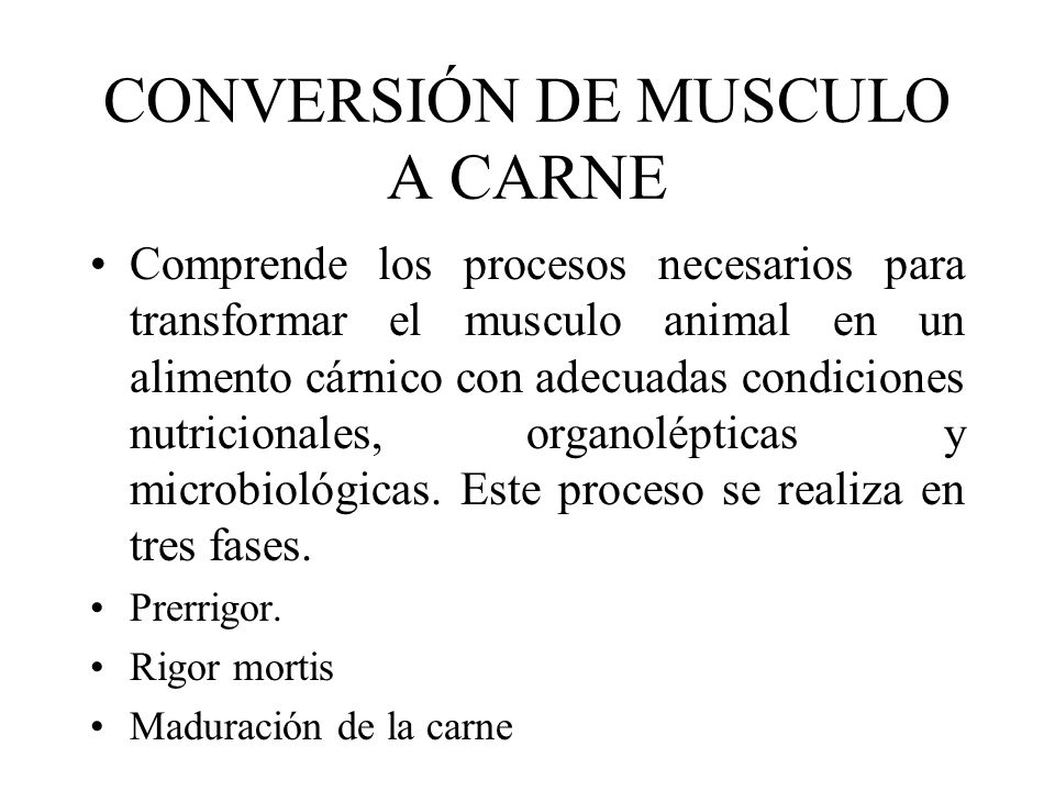 CONVERSIÓN DE MUSCULO A CARNE