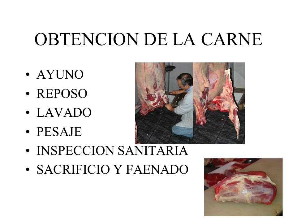 OBTENCION DE LA CARNE AYUNO REPOSO LAVADO PESAJE INSPECCION SANITARIA