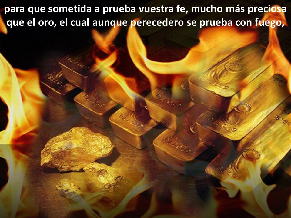 para que sometida a prueba vuestra fe, mucho más preciosa que el oro, el cual aunque perecedero se prueba con fuego,