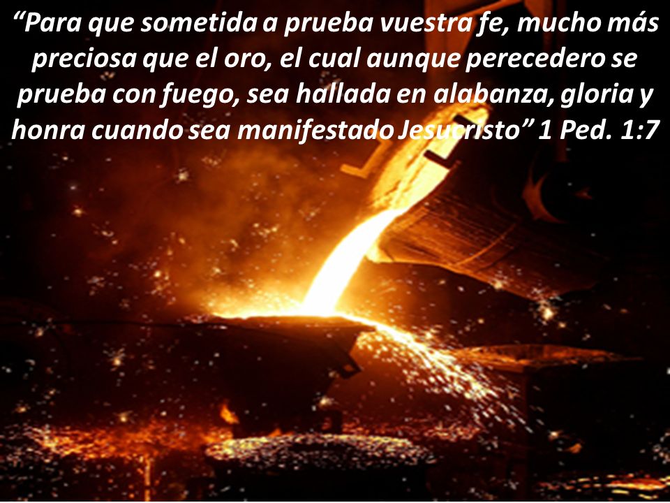 Para que sometida a prueba vuestra fe, mucho más preciosa que el oro, el cual aunque perecedero se prueba con fuego, sea hallada en alabanza, gloria y honra cuando sea manifestado Jesucristo 1 Ped.