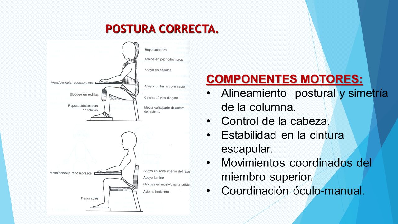POSTURA CORRECTA. COMPONENTES MOTORES: Alineamiento postural y simetría de la columna. Control de la cabeza.