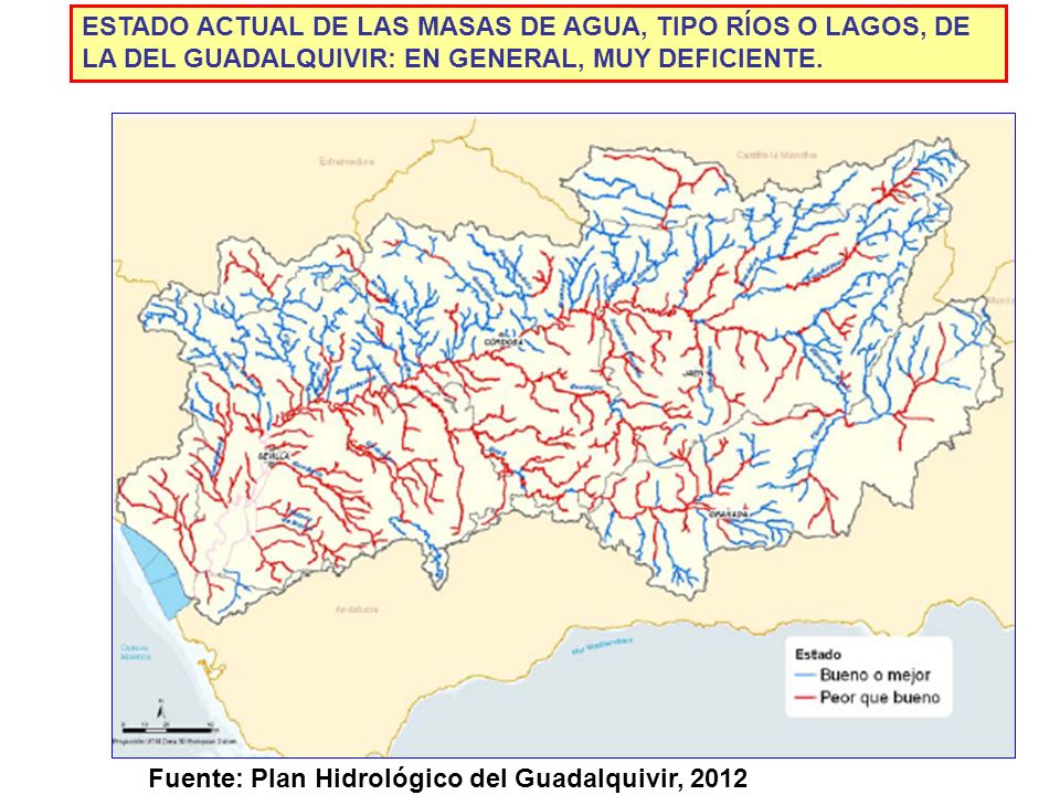 ESTADO ACTUAL DE LAS MASAS DE AGUA, TIPO RÍOS O LAGOS, DE LA DEL GUADALQUIVIR: EN GENERAL, MUY DEFICIENTE.