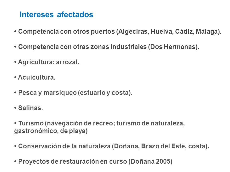 Intereses afectados • Competencia con otros puertos (Algeciras, Huelva, Cádiz, Málaga). • Competencia con otras zonas industriales (Dos Hermanas).