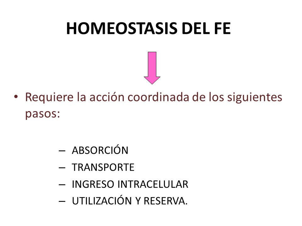 HOMEOSTASIS DEL FE Requiere la acción coordinada de los siguientes pasos: ABSORCIÓN. TRANSPORTE. INGRESO INTRACELULAR.